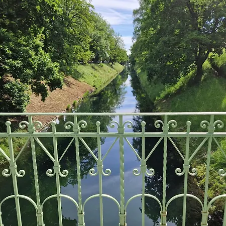 Urban Oasis